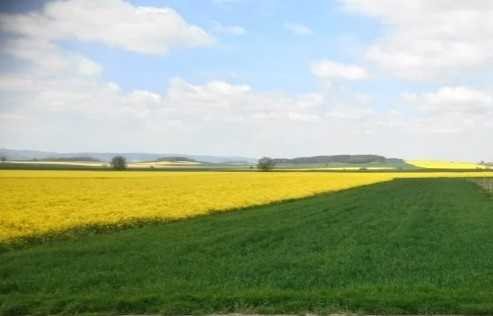 Działka inna na sprzedaż Dzierżoniów  3 000m2 Foto 1