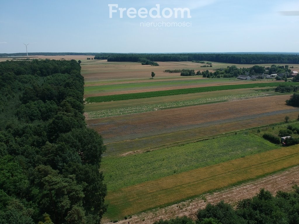 Działka rekreacyjna na sprzedaż Kaleń  1 000m2 Foto 3