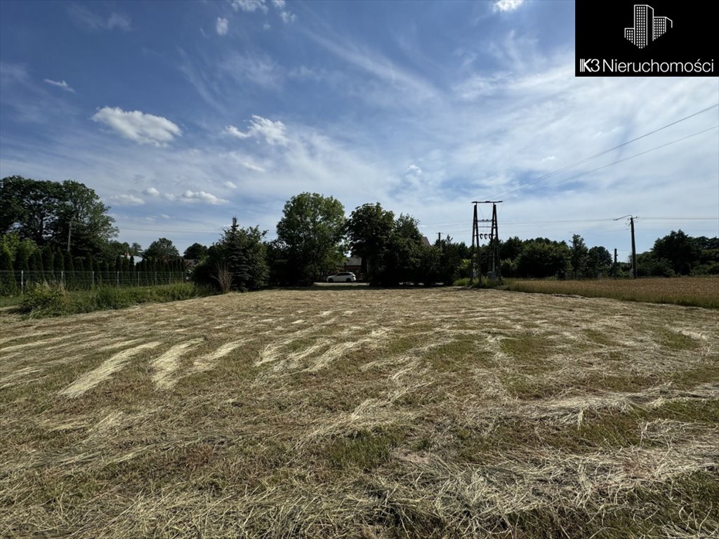 Działka budowlana na sprzedaż Czarna  12 100m2 Foto 9