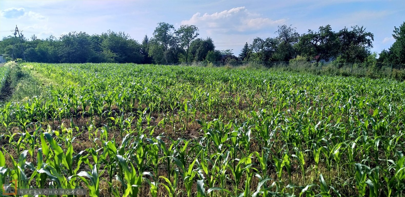 Działka budowlana na sprzedaż Będkowice  2 980m2 Foto 2