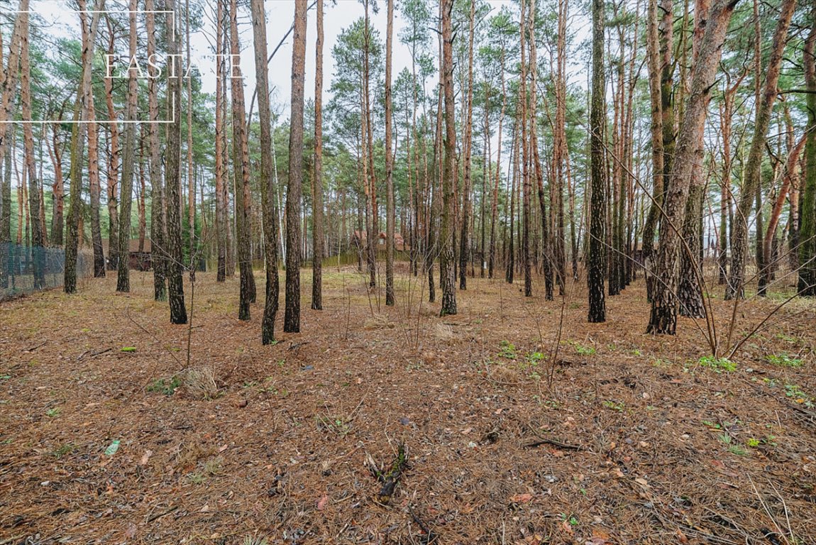 Działka rekreacyjna na sprzedaż Nowy Lubiel, Zakątek  1 600m2 Foto 3