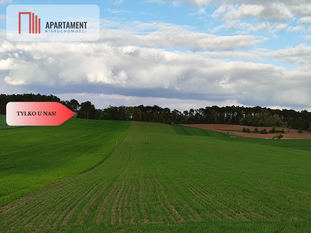 Działka budowlana na sprzedaż Szubin  1 300m2 Foto 2