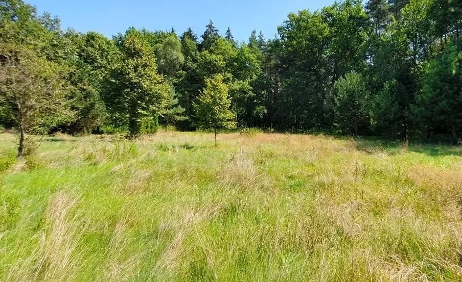 Działka budowlana na sprzedaż Czarne Błoto  1 350m2 Foto 1