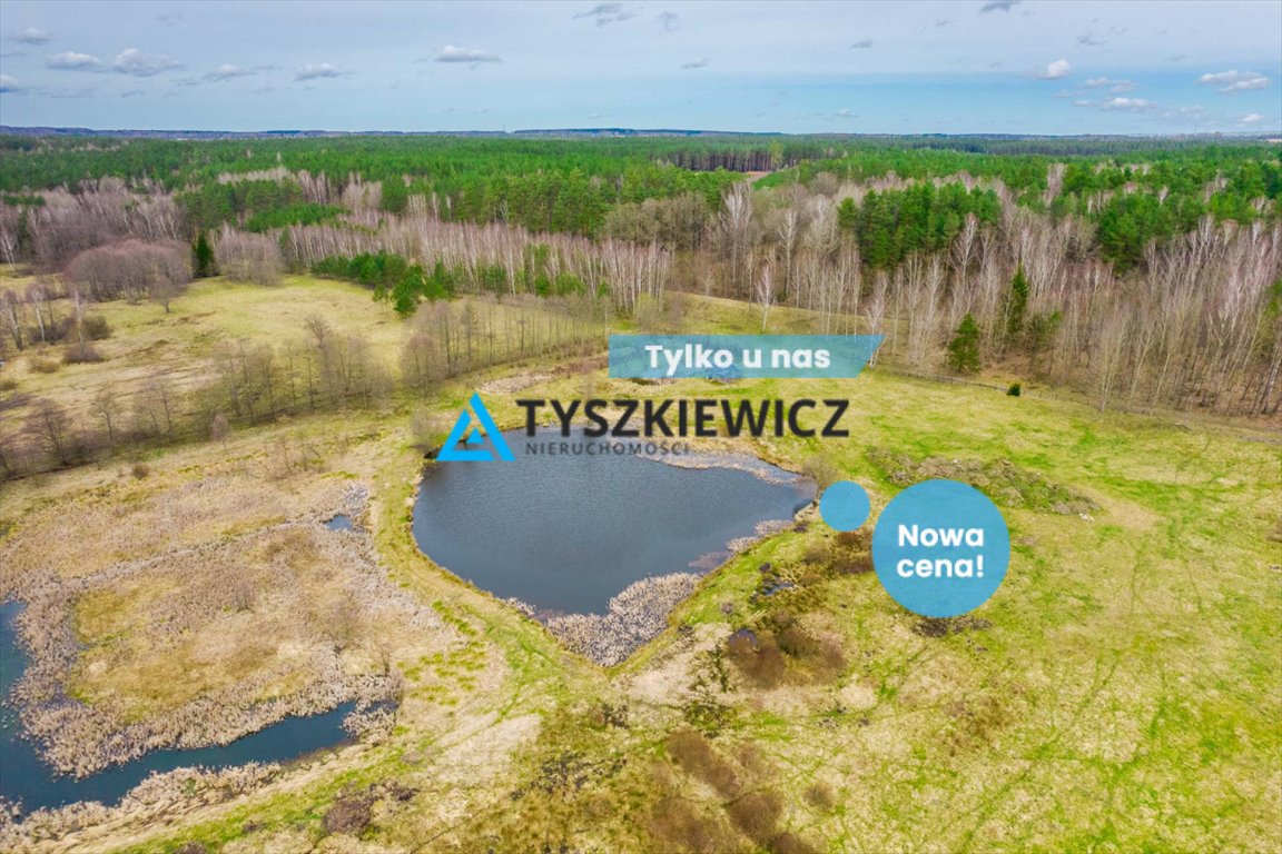 Działka rolna na sprzedaż Zielin  59 900m2 Foto 1