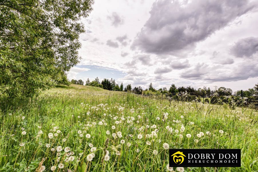 Działka rolna na sprzedaż Krasnopol  3 050m2 Foto 4