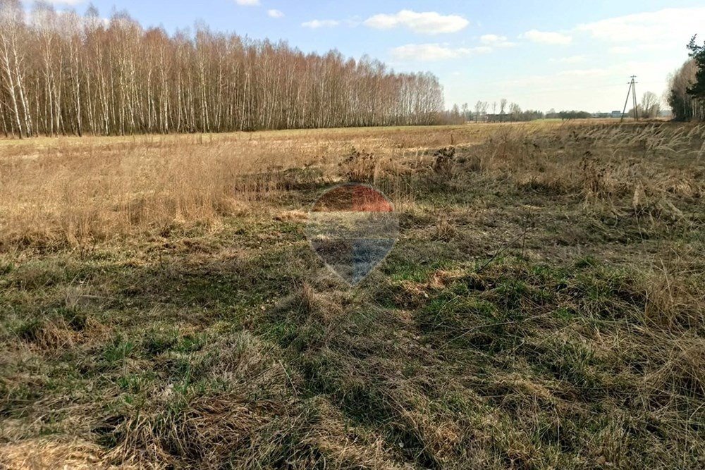 Działka rolna 2,25 ha z budynkami i potencjałem - zapraszam Wistka, 96  22 500m2 Foto 1