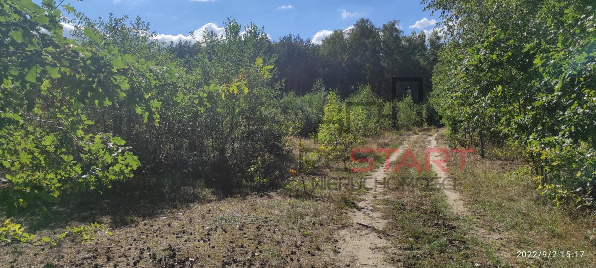 Działka przemysłowo-handlowa na sprzedaż Marków-Świnice  14 100m2 Foto 1