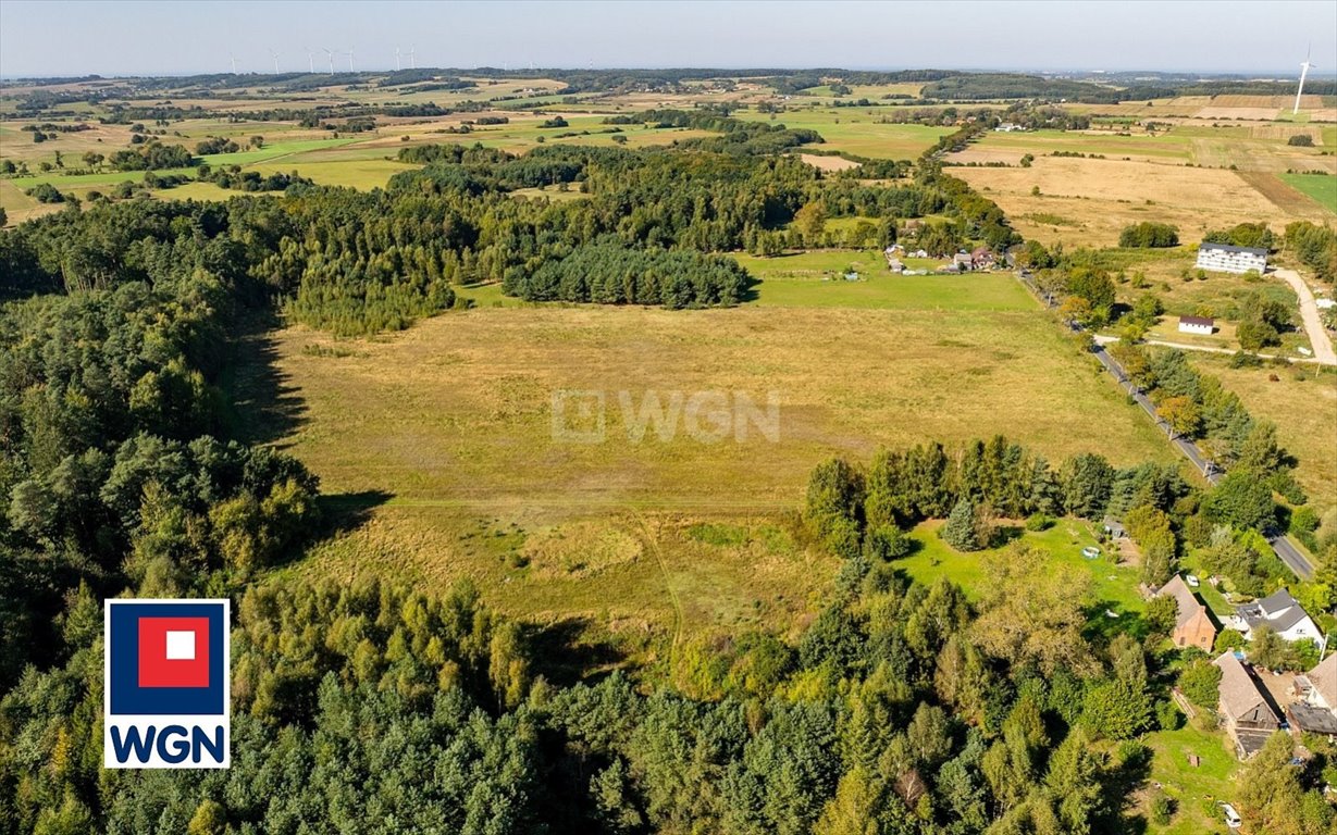 Działka siedliskowa na sprzedaż Kanin, Kanin  3 120m2 Foto 4