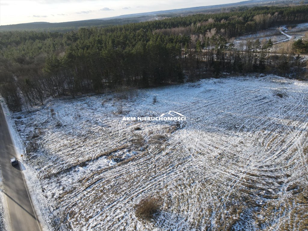 Działka budowlana na sprzedaż Ryjewo  1 100m2 Foto 8