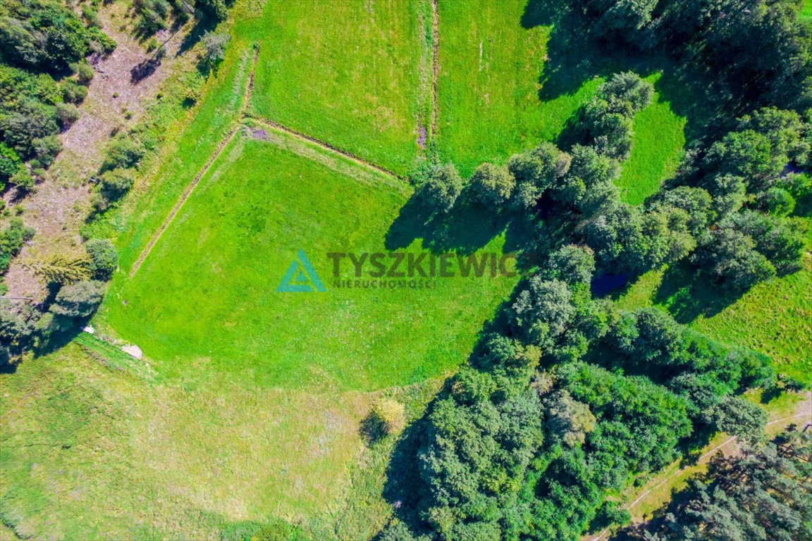 Działka rolna na sprzedaż Żukówko  14 200m2 Foto 12