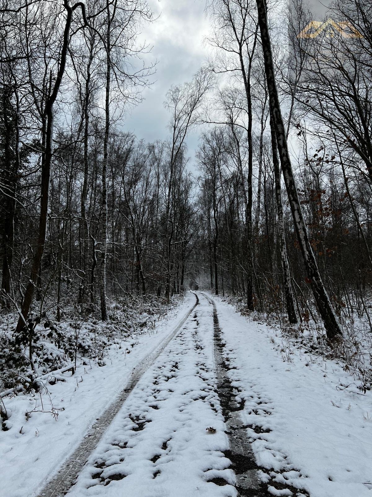 Działka leśna na sprzedaż Perła  9 400m2 Foto 1