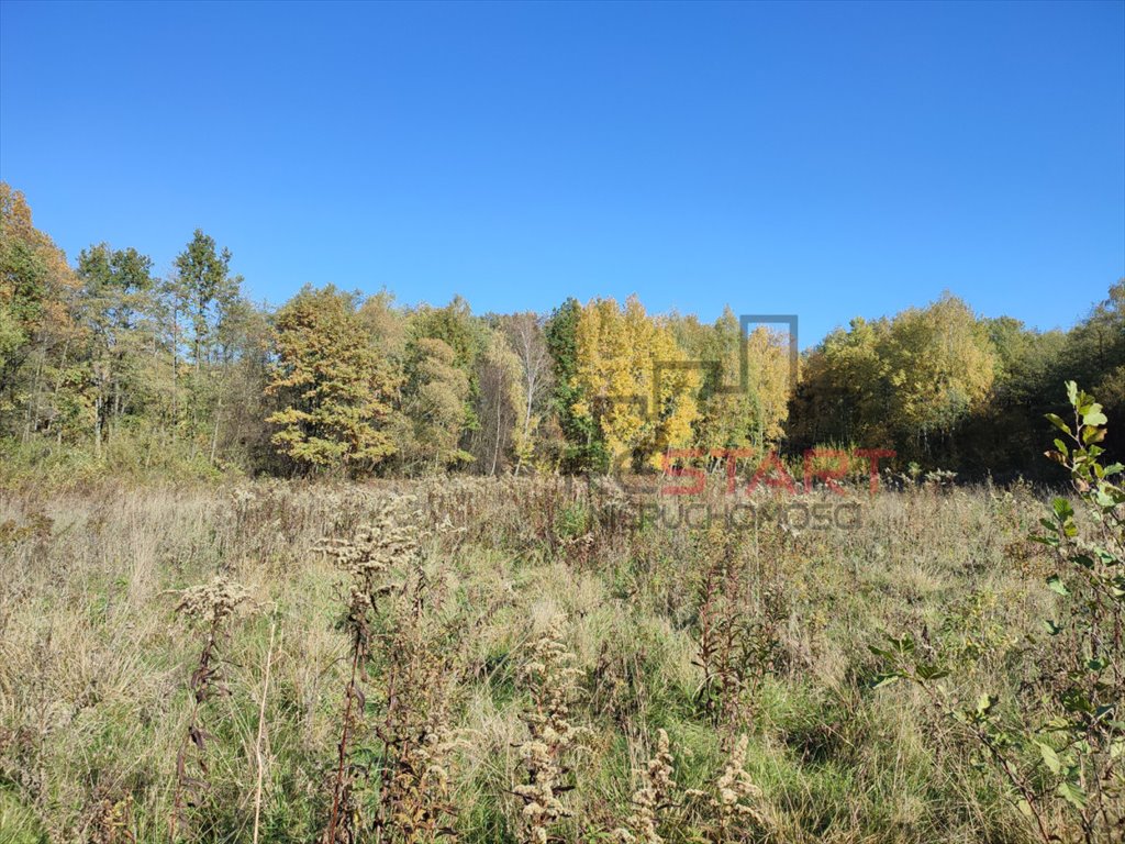 Działka budowlana na sprzedaż Adamów-Parcel  20 800m2 Foto 2