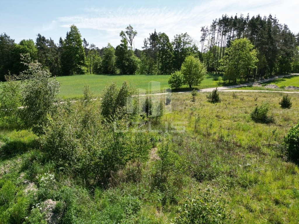 Działka budowlana na sprzedaż Kolincz, Polna  3 023m2 Foto 3