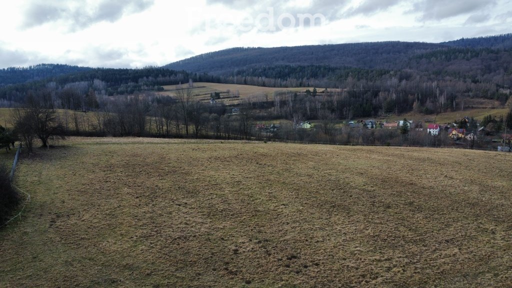 Działka inna na sprzedaż Górzanka  12 233m2 Foto 9