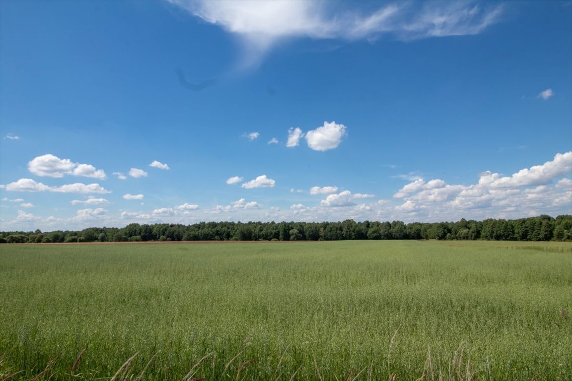 Działka budowlana na sprzedaż Woźniki, Czarny Las, Czarny Las  29 522m2 Foto 12