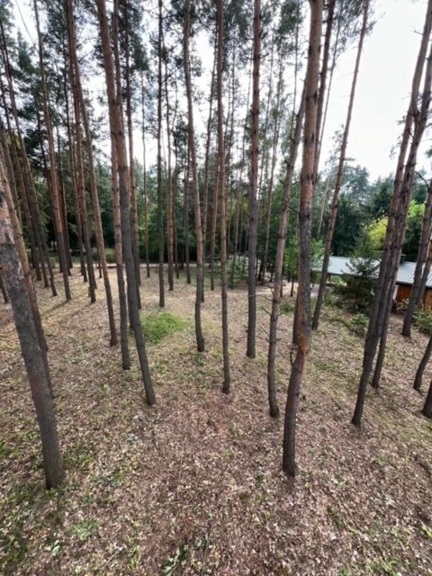 Działka leśna z prawem budowy na sprzedaż Antoniówka, Słowików  1 800m2 Foto 4