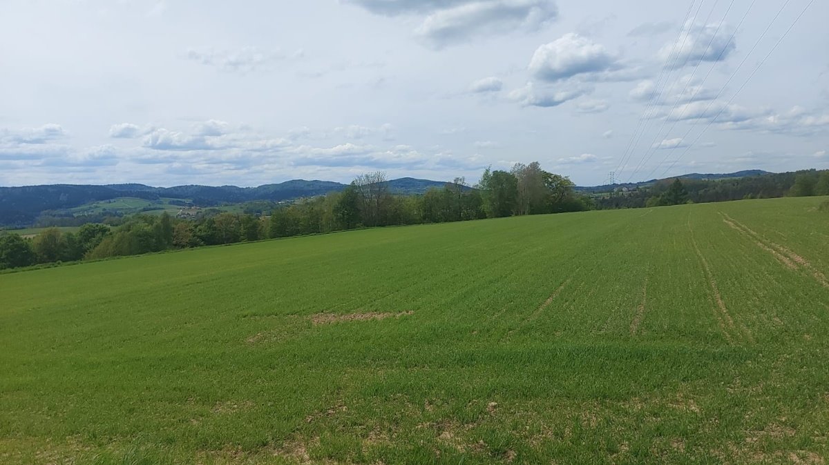 Działka budowlana na sprzedaż Ciężkowice, Ciężkowice, Kąśna Górna  1 000m2 Foto 2