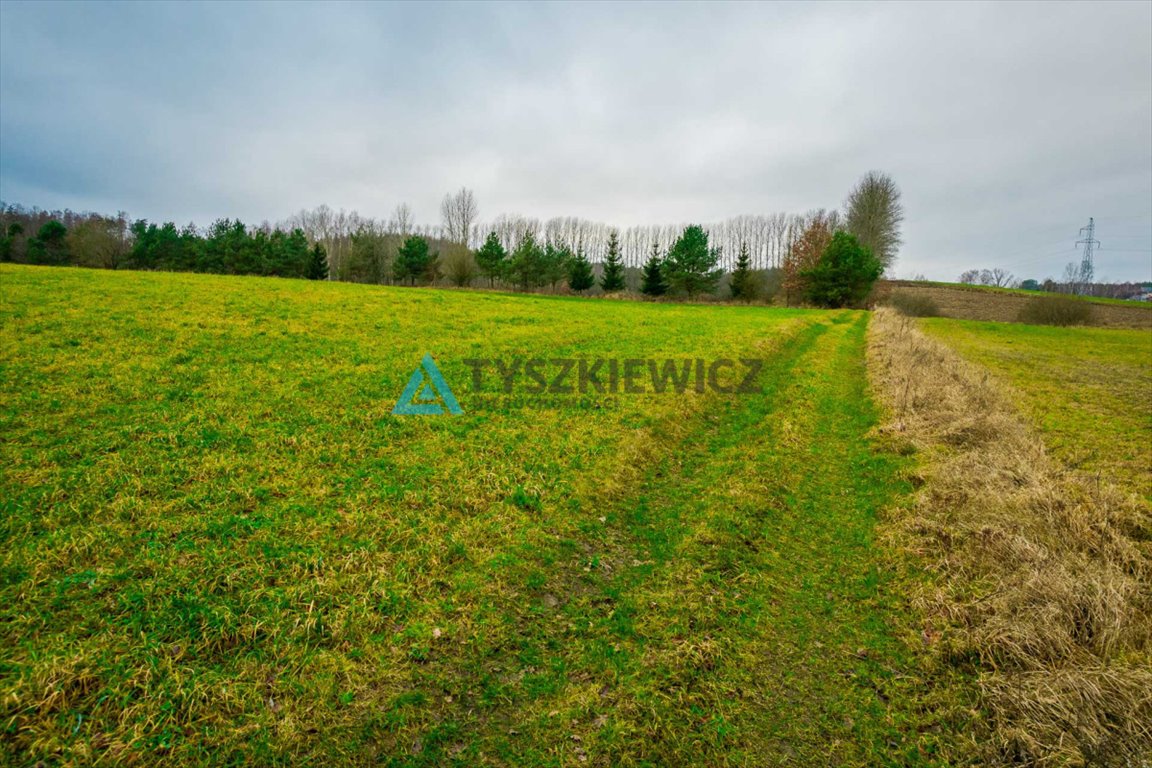 Działka rolna na sprzedaż Głodowo  28 400m2 Foto 12