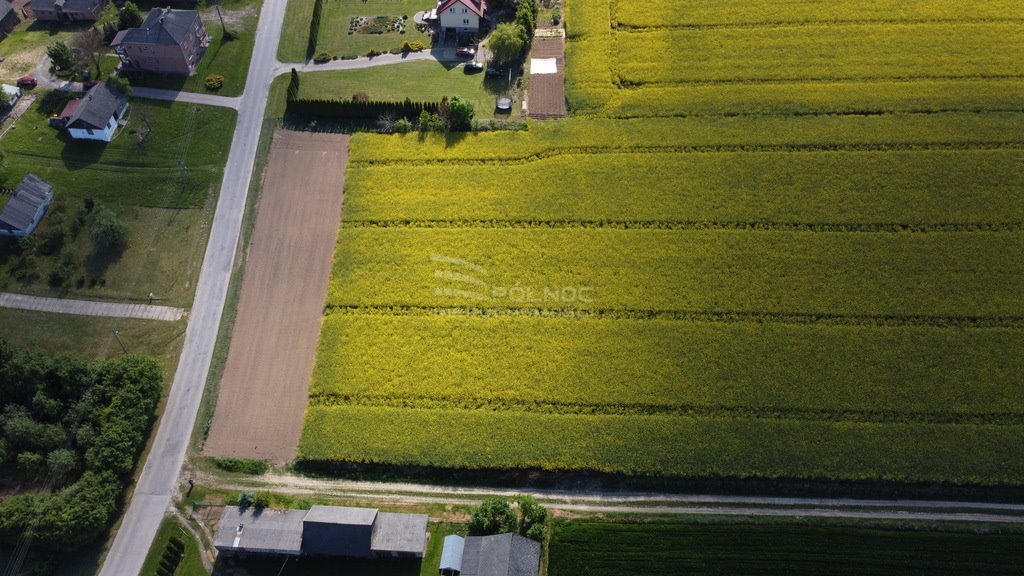 Działka budowlana na sprzedaż Niemienice  3 000m2 Foto 2