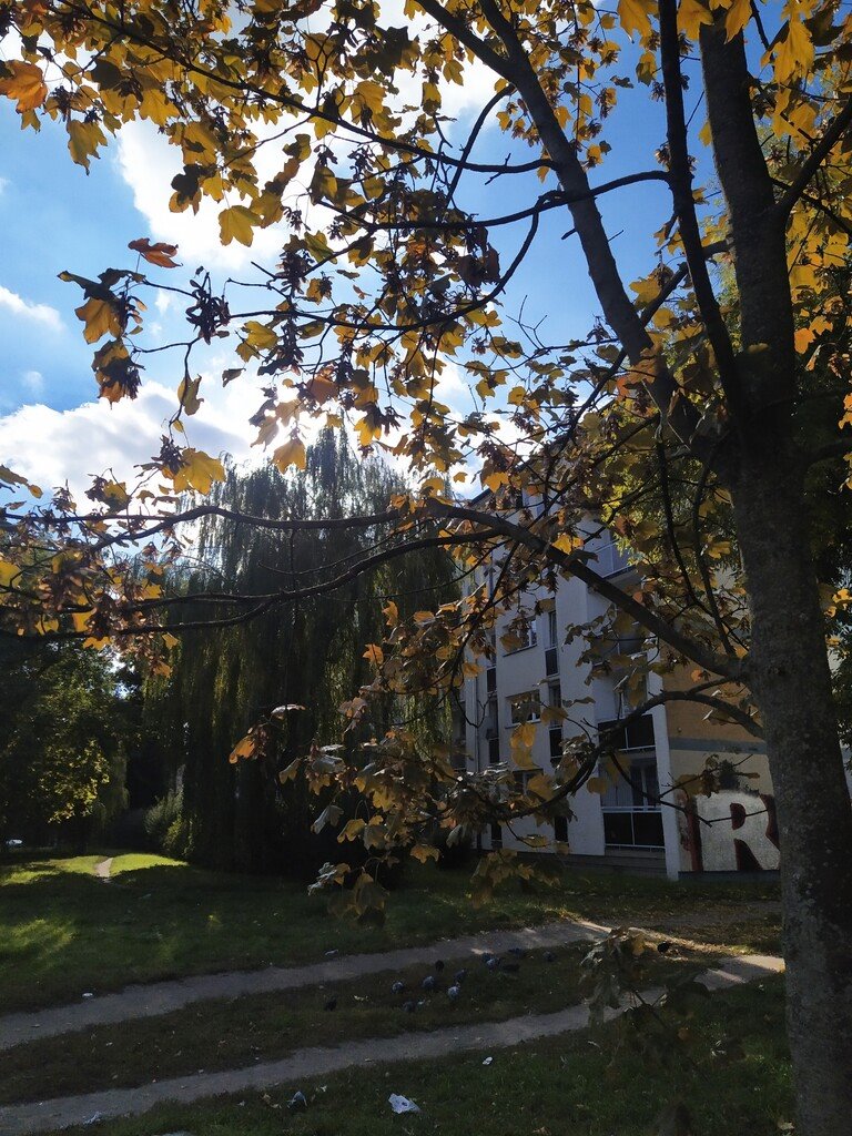 Mieszkanie dwupokojowe na sprzedaż Łódź, Górna, Poli Gojawiczyńskiej  37m2 Foto 2