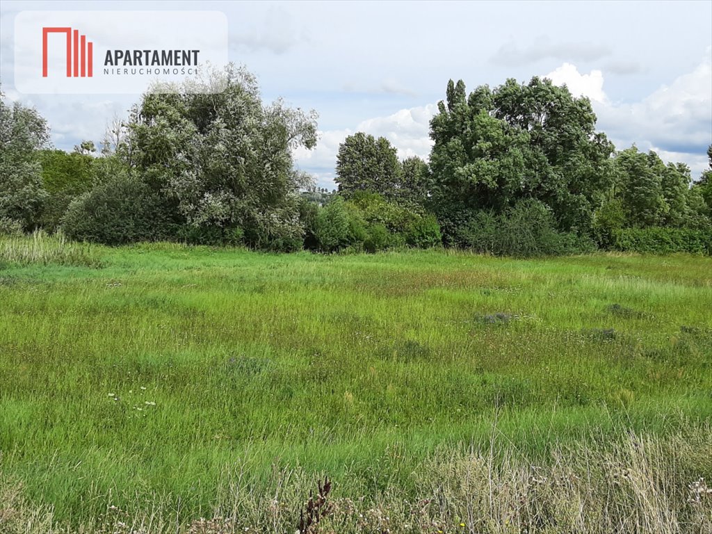 Działka gospodarstwo rolne na sprzedaż Żnin  1 700m2 Foto 3