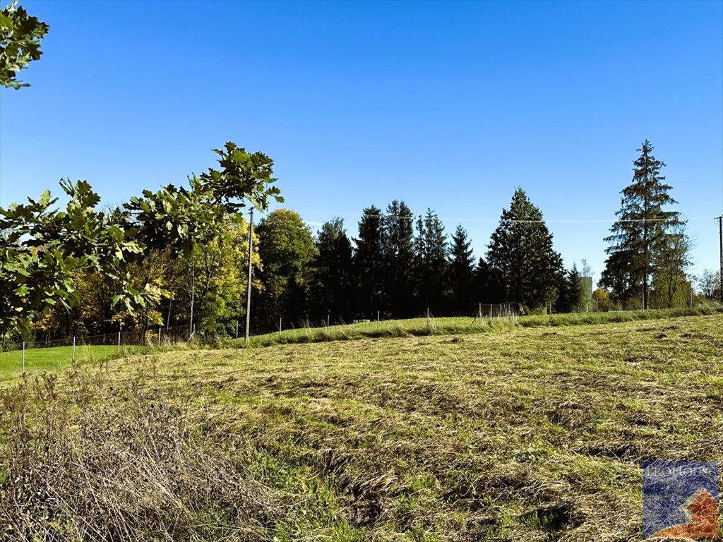 Działka budowlana na sprzedaż Pisarzowa  4 873m2 Foto 13