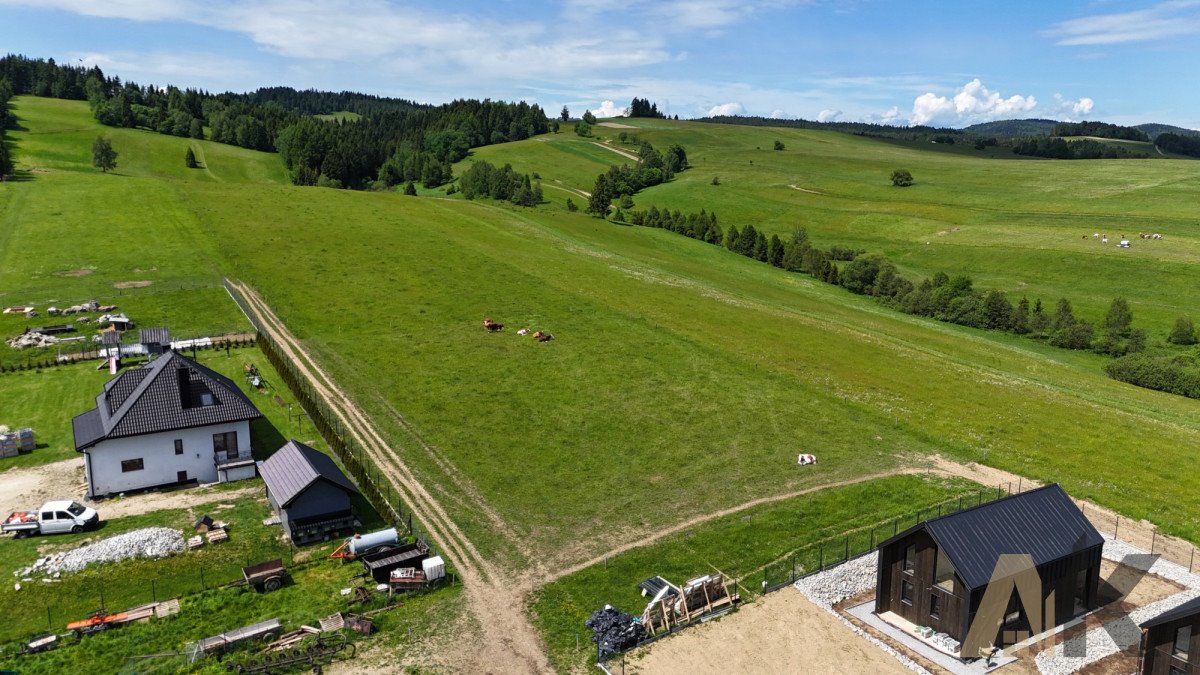 Działka budowlana na sprzedaż Krynica-Zdrój  3 003m2 Foto 3