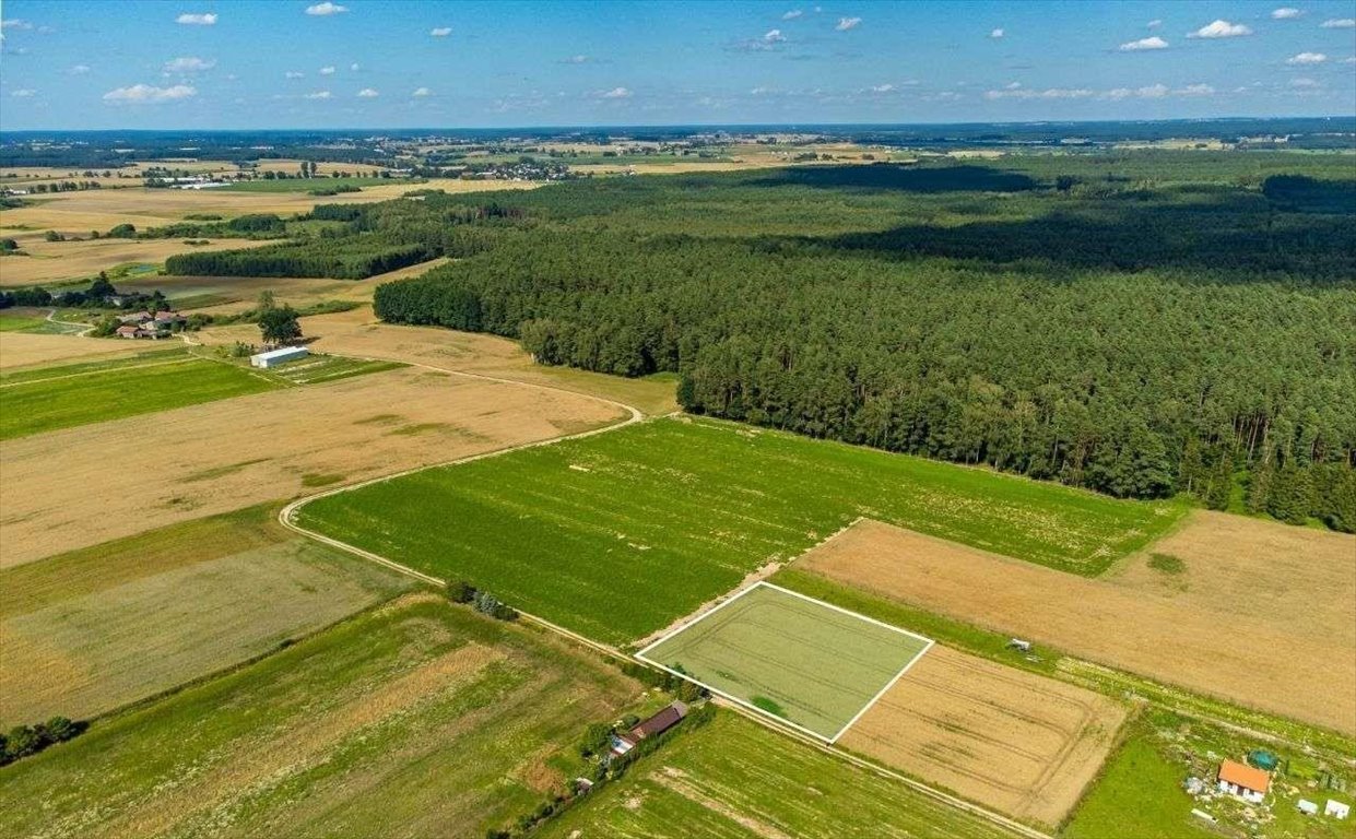 Działka budowlana na sprzedaż Dziarnówko  3 000m2 Foto 4