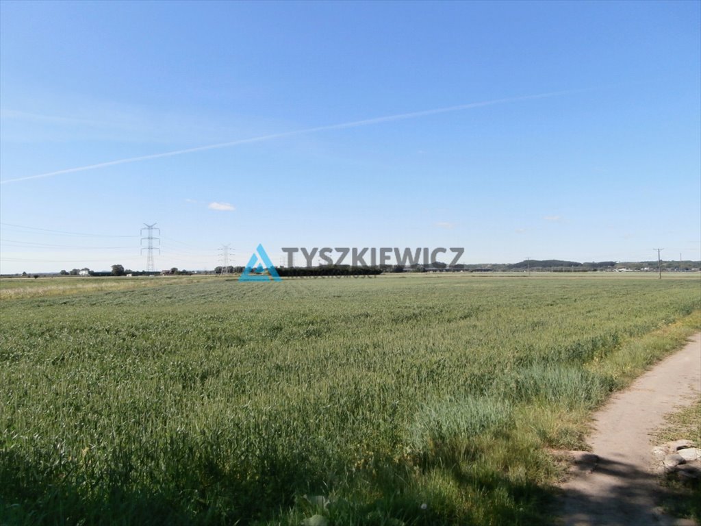 Działka siedliskowa na sprzedaż Gdańsk, Lipce, Przybrzeżna  6 000m2 Foto 5