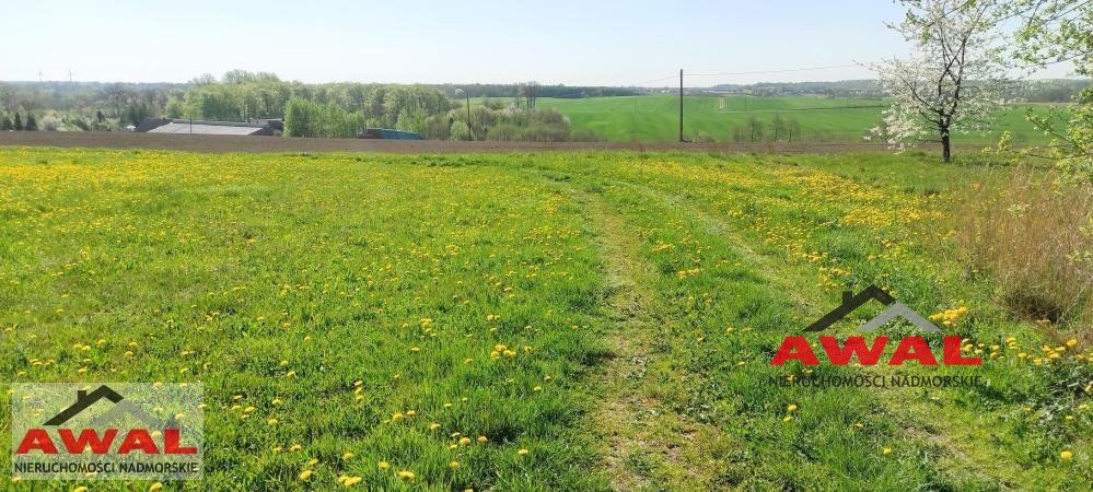 Działka budowlana na sprzedaż Zdrada, Leśna  1 020m2 Foto 7