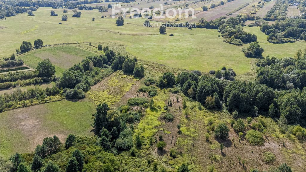 Działka rolna na sprzedaż Ostrówiec  6 567m2 Foto 8