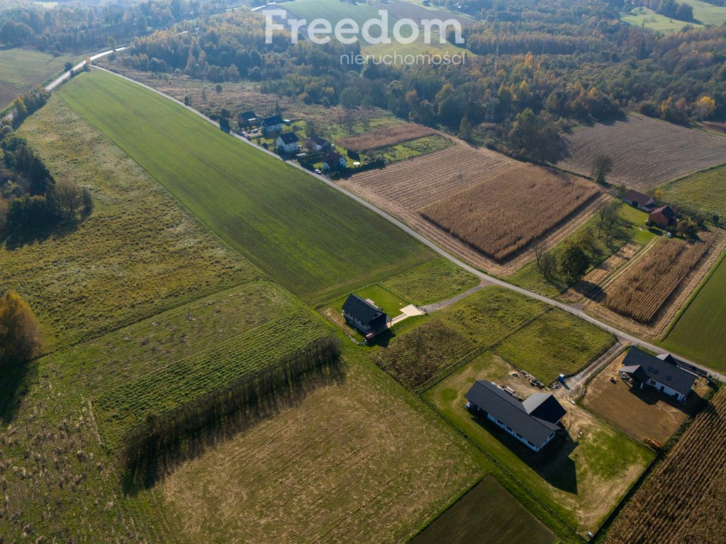 Działka inna na sprzedaż Brzeźnica, Świerkowa  19 000m2 Foto 2