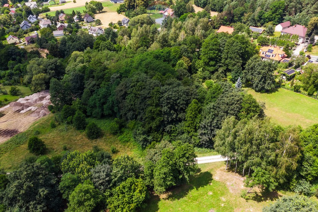 Działka budowlana na sprzedaż Rudno, Łąkowa  6 981m2 Foto 13