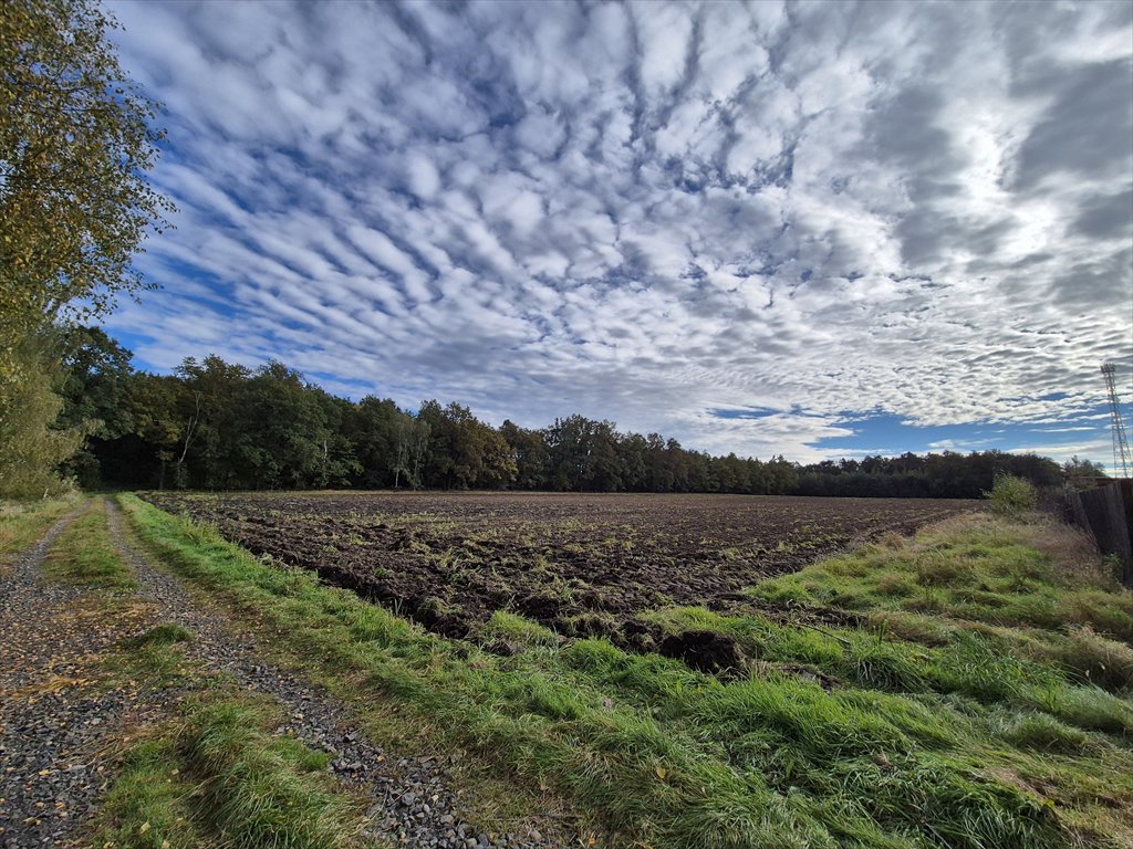 Działka przemysłowo-handlowa na sprzedaż Gromadka  9 200m2 Foto 5