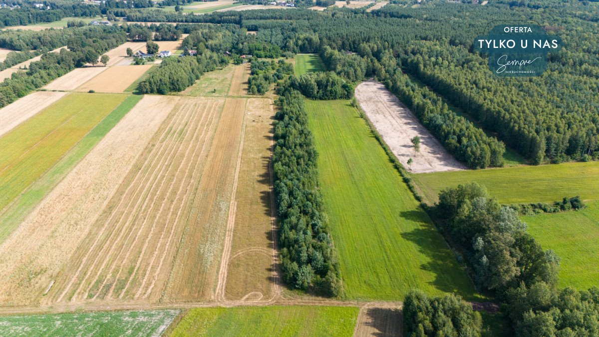 Działka rolna na sprzedaż Zelów  26 000m2 Foto 3