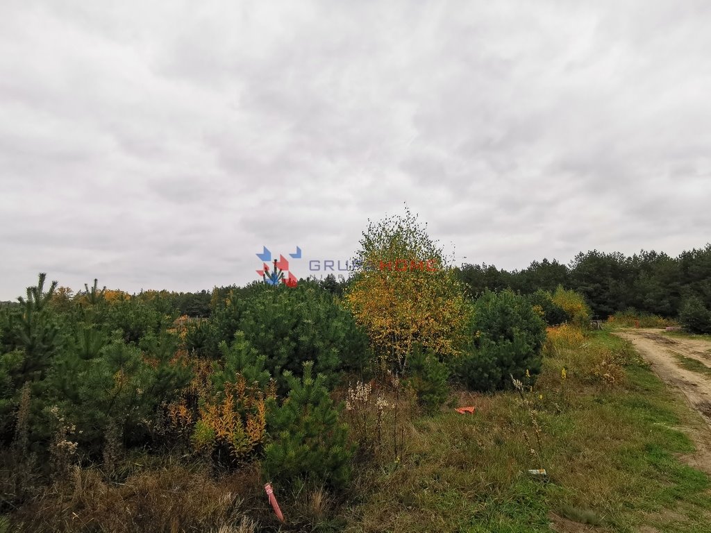 Działka 1000 m2 pod dom w Krępie z mediami. Krępa  1 000m2 Foto 1