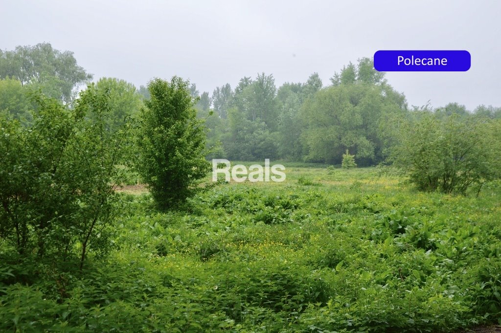 Działka 2 ha pod inwestycję w Skierdy – blisko Warszawy Skierdy  20 000m2 Foto 1