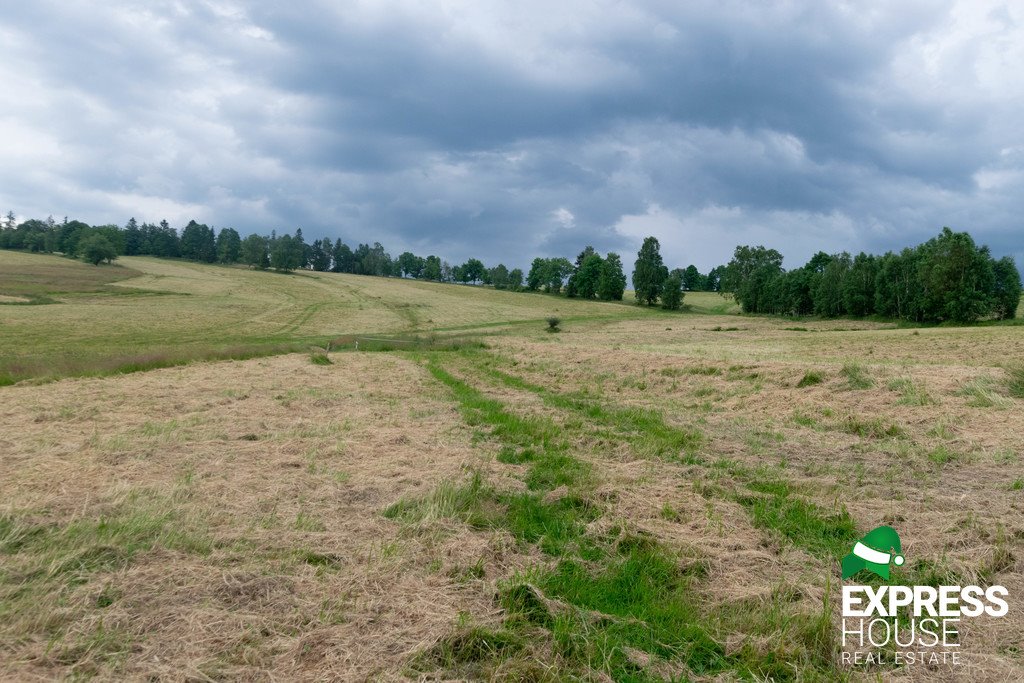 Działka budowlana na sprzedaż Stronie Śląskie, Polna  2 617m2 Foto 3