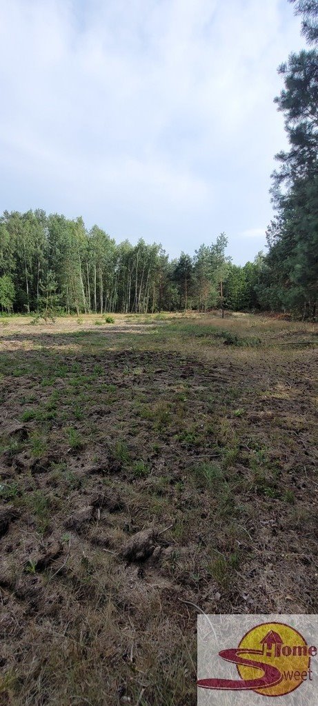 Działka pod domy jednorodzinne z mediami i warunkami zabudowy Wolanów  1 605m2 Foto 1