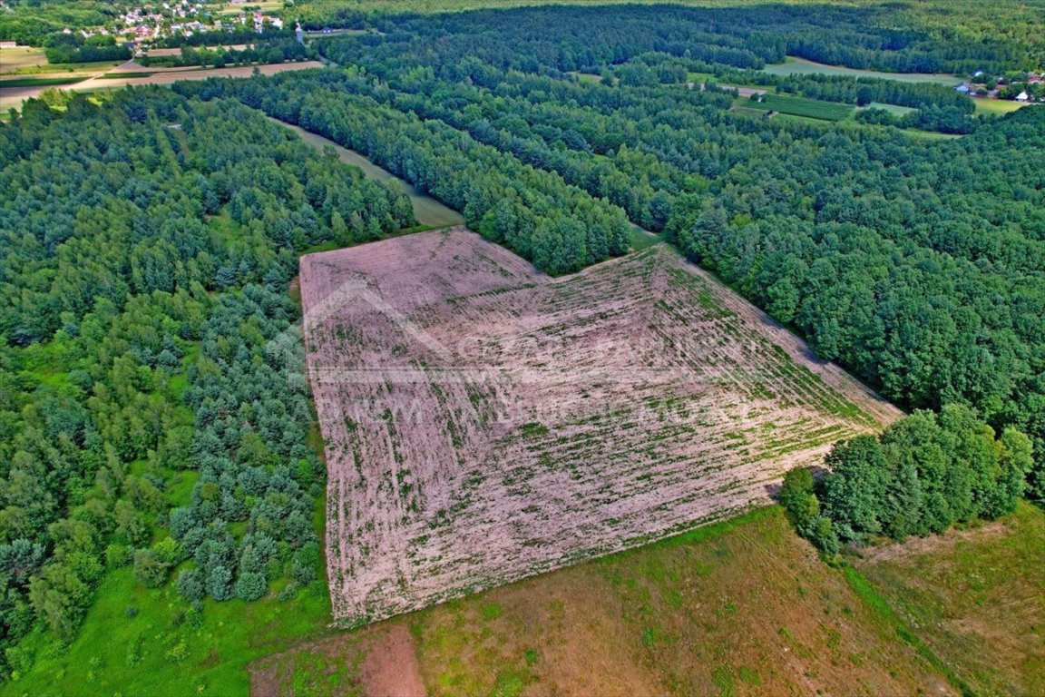 Działka rolna na sprzedaż Uściąż, Uściąż  40 000m2 Foto 2