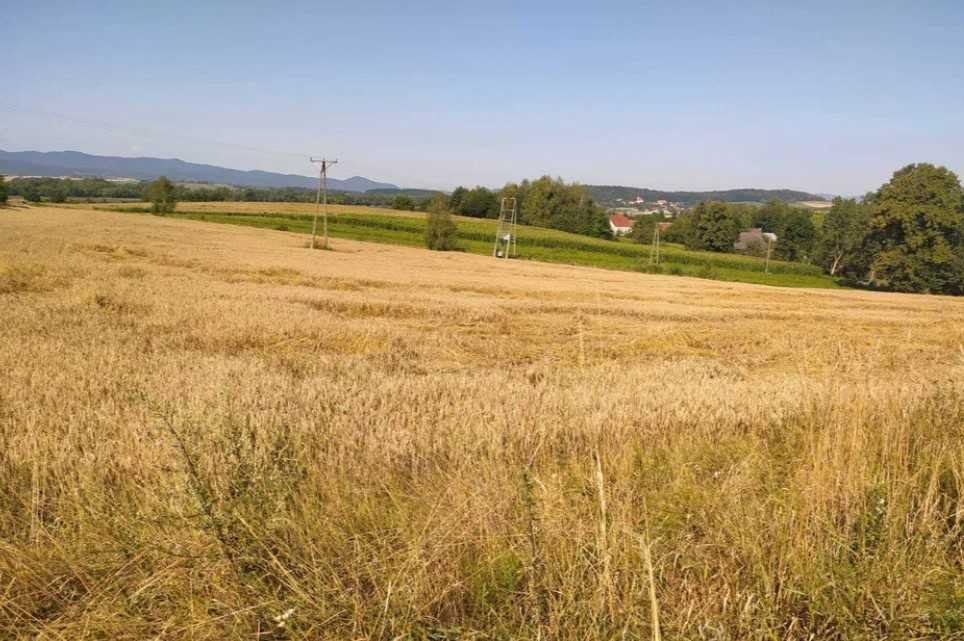 Działka inna na sprzedaż Kamieniec Ząbkowicki, Doboszowice  10 100m2 Foto 2