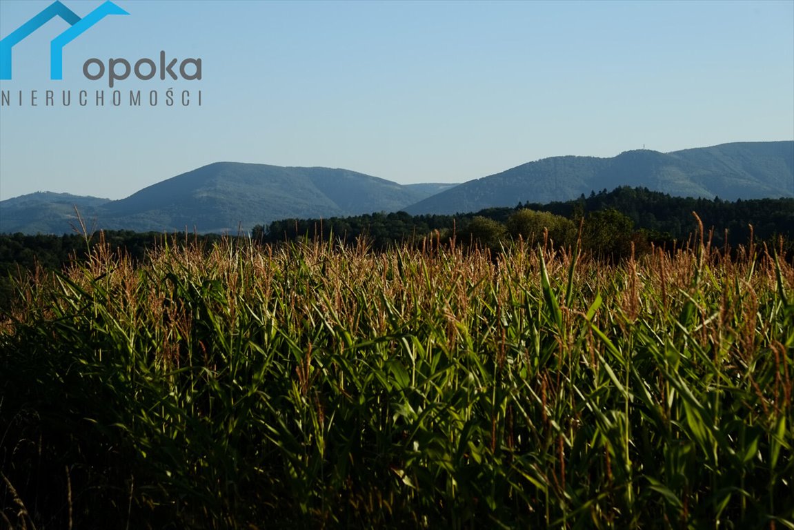 Widokowa działka w Puńcowie z panoramą gór i spokojem Puńców  1 016m2 Foto 1