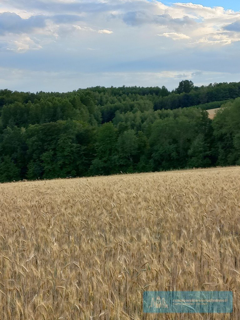 Działka budowlana na sprzedaż Brzeziny  1 250m2 Foto 5