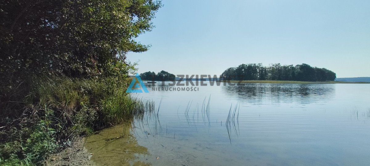 Działka budowlana na sprzedaż Peplin  4 000m2 Foto 3