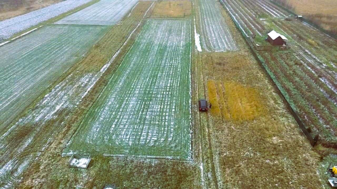 Działka budowlana na sprzedaż Krościenko Wyżne  1 297m2 Foto 6