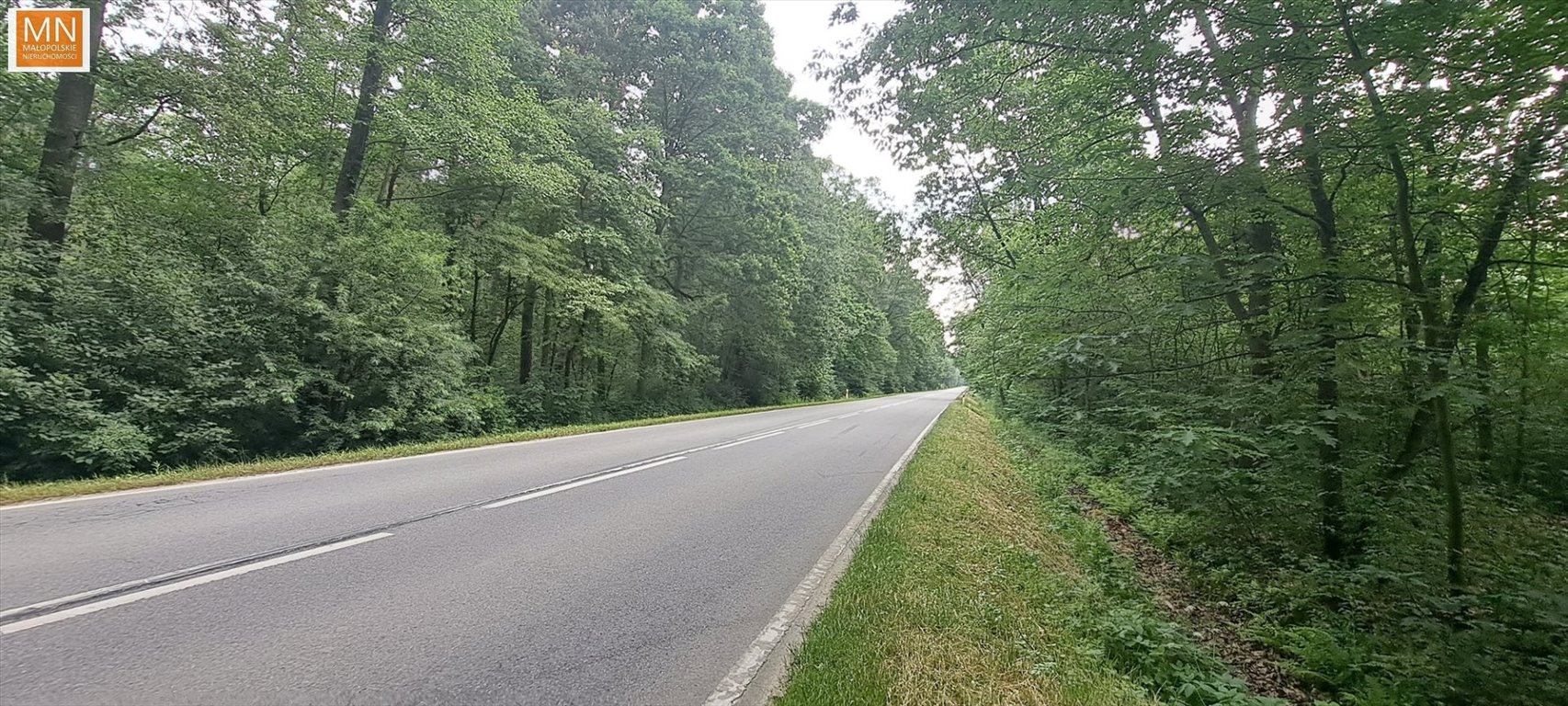 Polecam działkę inwestycyjną z lasem i żwirownią 2,89 ha Borzęcin  28 900m2 Foto 1