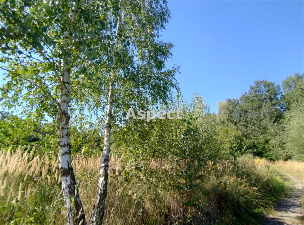Działka rekreacyjna na sprzedaż Rybnik  1 180m2 Foto 1