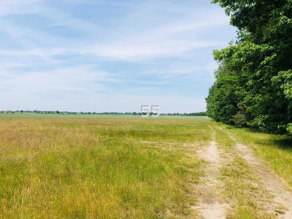 Działka inna na sprzedaż Wronowice  2 000m2 Foto 1