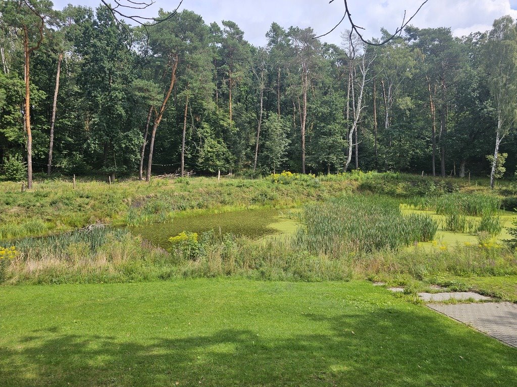 Działka budowlana na sprzedaż Różanki  14 300m2 Foto 6