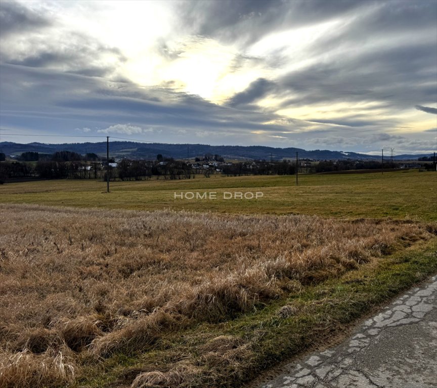 Działka budowlana na sprzedaż Skawa, Gubałówka  2 358m2 Foto 3